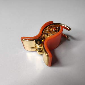 Orange color Accessories - Small sized Clutcher